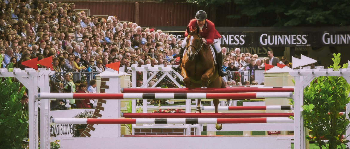 The world’s most expensive horse – ehorses Magazine