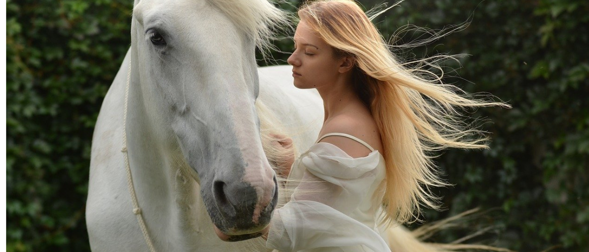 The Horse Whisperer – A Miracle or Profession? – ehorses Magazine