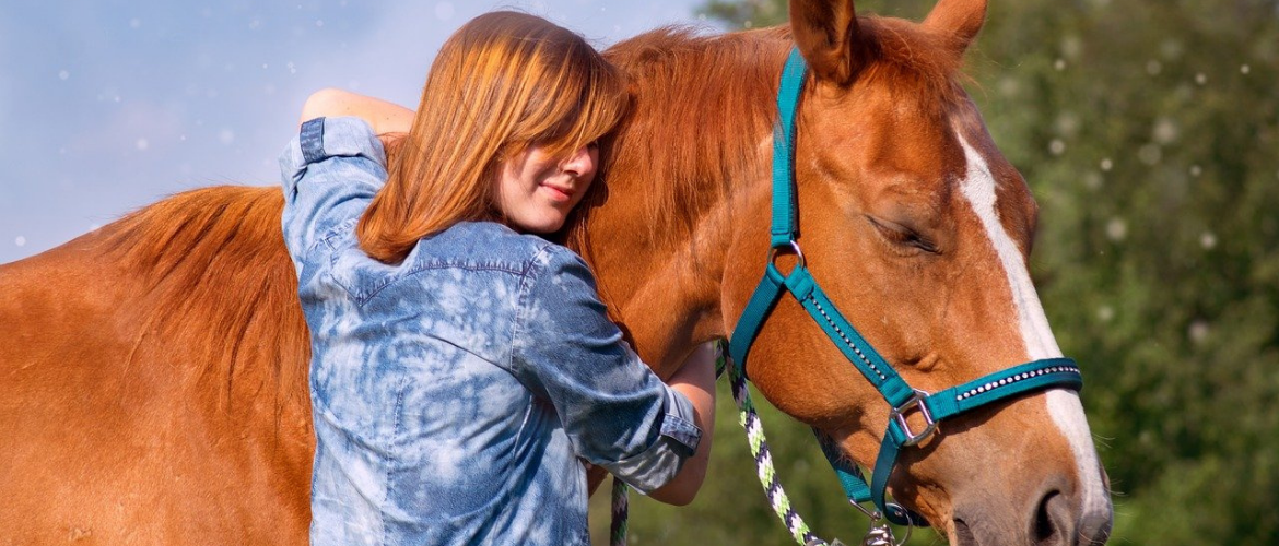 Ride, ride, ride — or take a breather sometimes? – ehorses Magazine