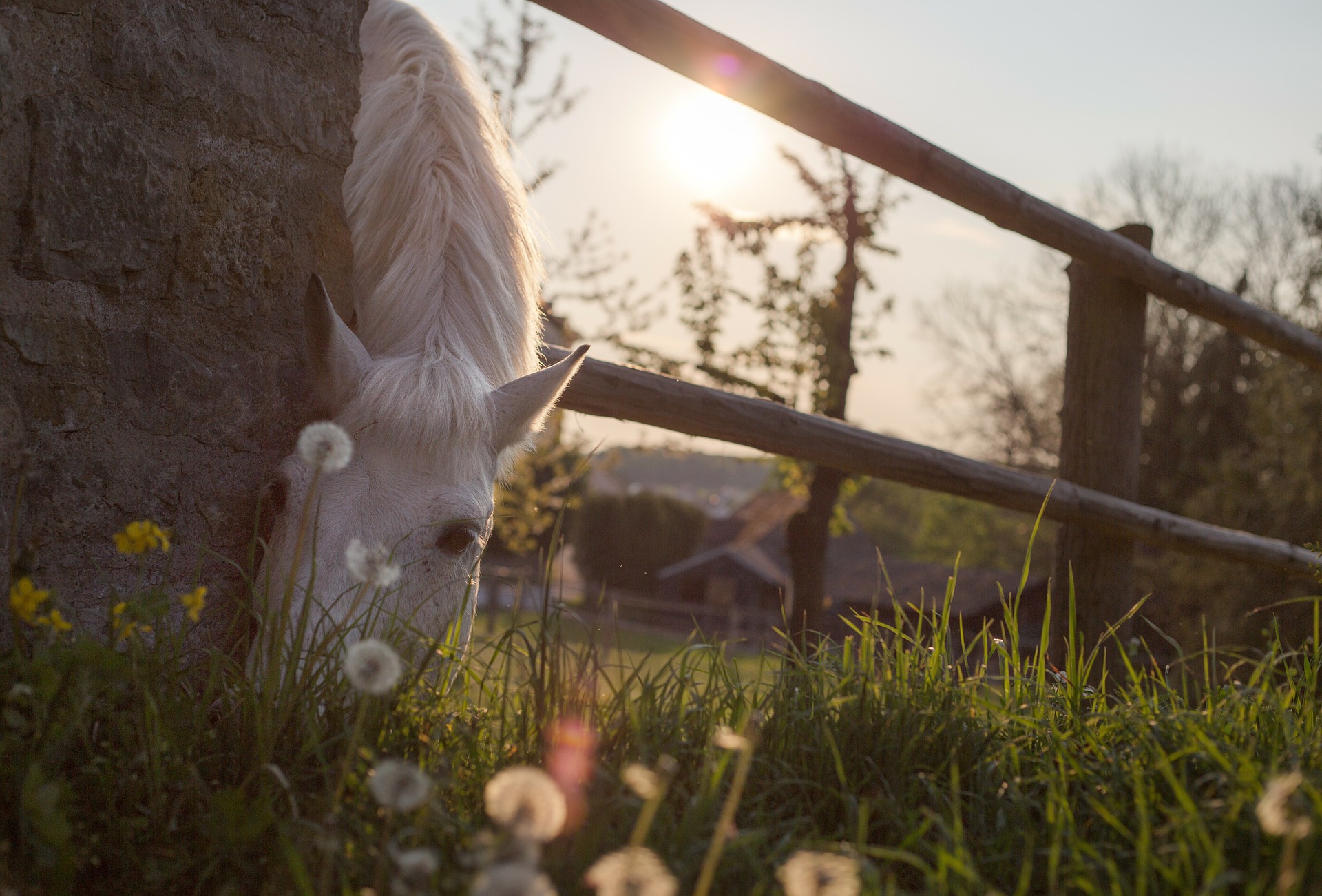 7 Reasons Why You Should Ride – ehorses Magazine