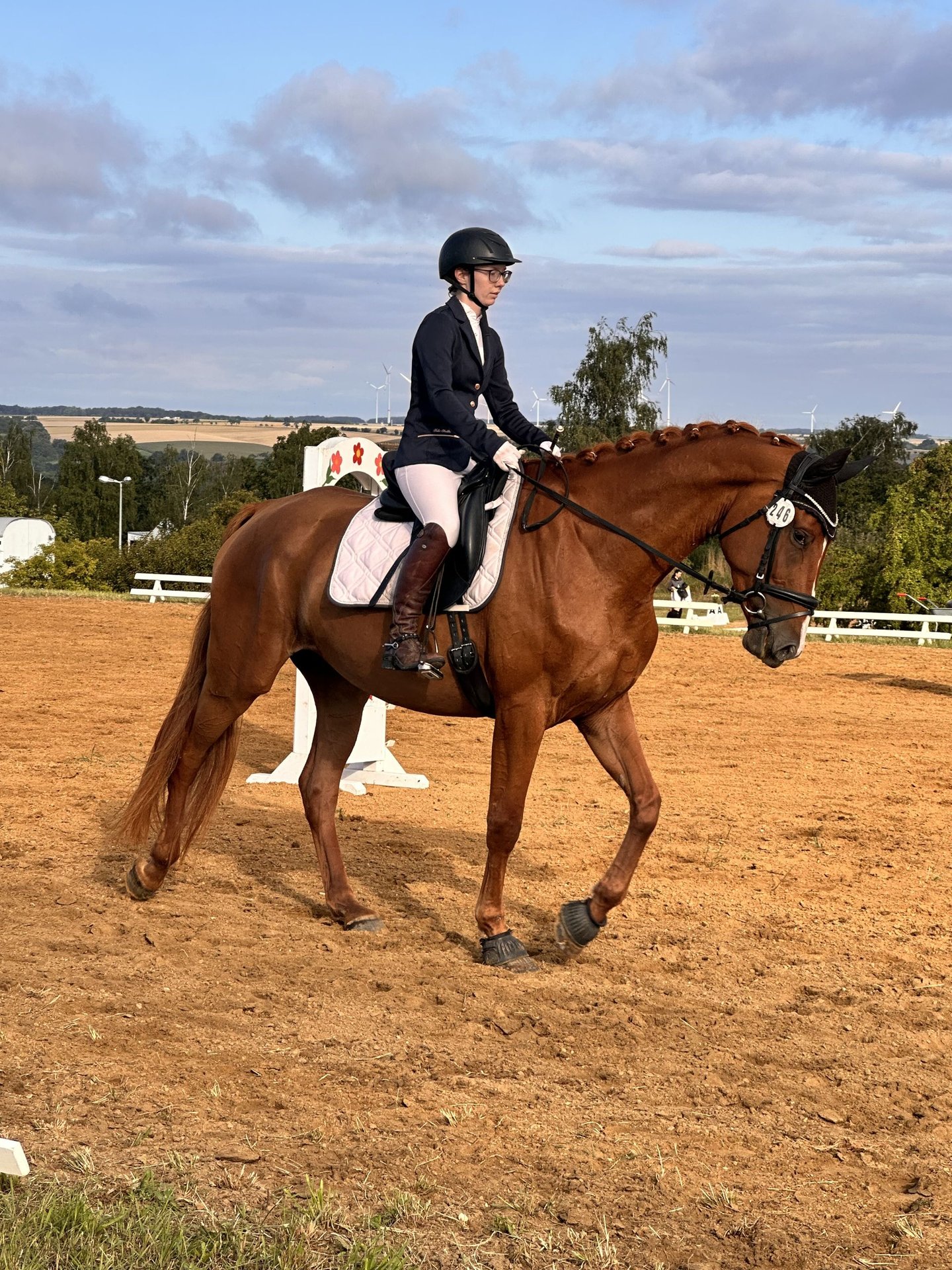 Hanoverian Mare 4 years 17 hh Chestnut-Red in Leipzig